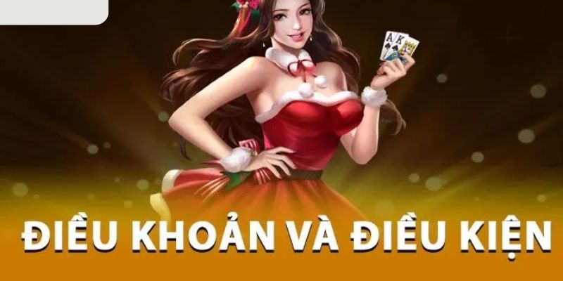 Tầm quan trọng của điều kiện điều khoản