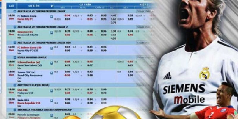 Chiến thuật và mẹo chơi hiệu quả